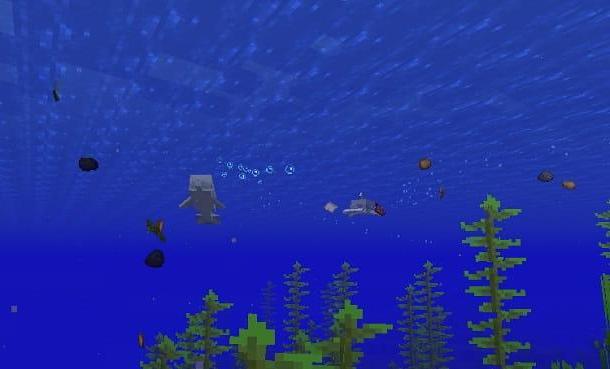 Comment apprivoiser un dauphin dans Minecraft