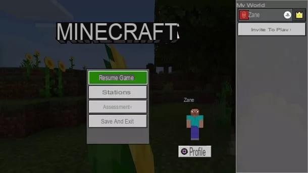 How to play in two on Minecraft PS4