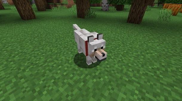 How to tame a dog in Minecraft