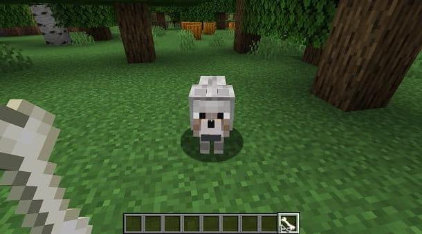 Come addomesticare un cane su Minecraft