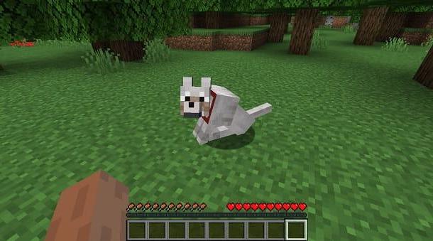 Cómo domesticar a un perro en Minecraft