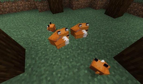Como domar uma raposa no Minecraft