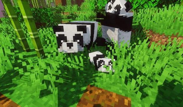 Come addomesticare un panda su Minecraft