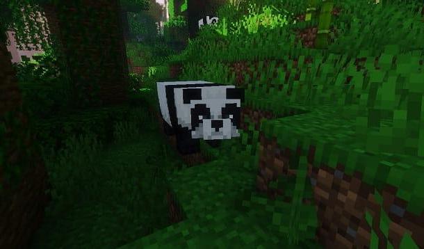 Comment apprivoiser un panda dans Minecraft