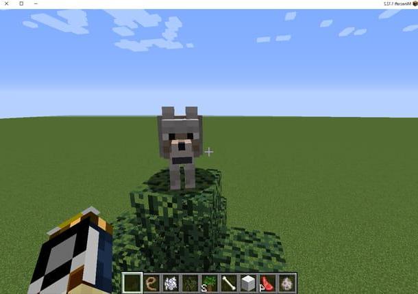 Cómo domesticar a un lobo en Minecraft