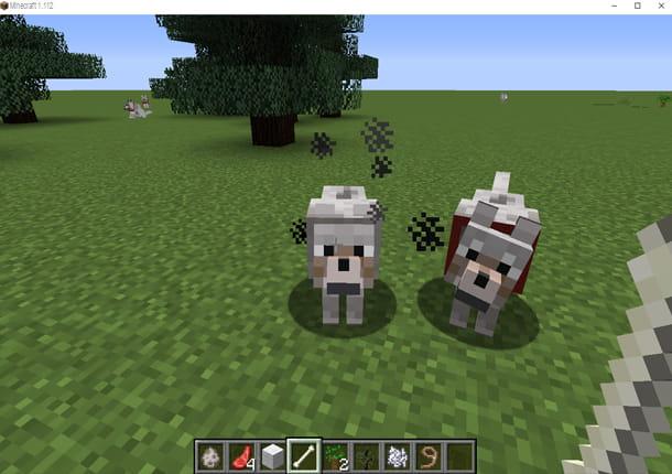 How to tame a wolf in Minecraft