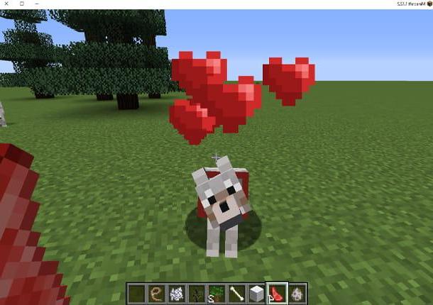 How to tame a wolf in Minecraft