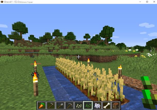 How to farm in Minecraft