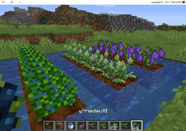 Come coltivare su Minecraft