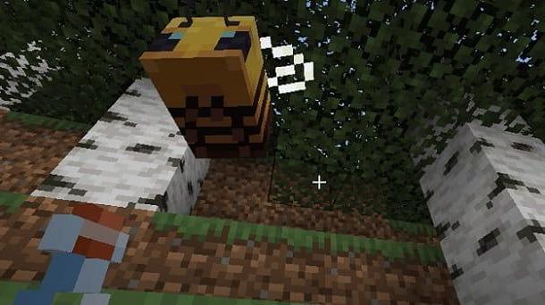 How to get honey in Minecraft