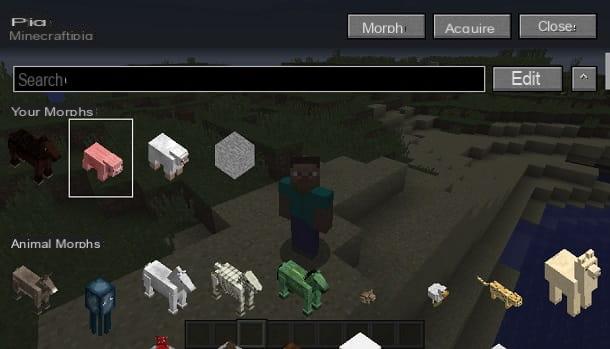How to become an animal in Minecraft