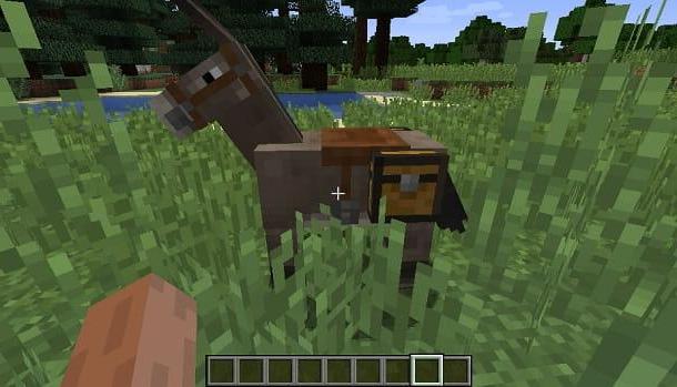 Como domar um cavalo no Minecraft