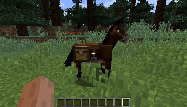 Comment apprivoiser un cheval dans Minecraft