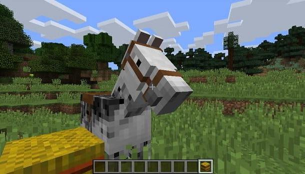 Come addomesticare un cavallo su Minecraft