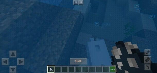 How to ride a dolphin in Minecraft